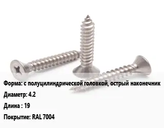 Саморез с полуцилиндрической головкой, острый наконечник D=4.2 L=19 RAL 7004